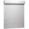 VidaXL Volet roulant Aluminium 70 x 100 cm Blanc -Matériaux de construction Soldes image 1 144964