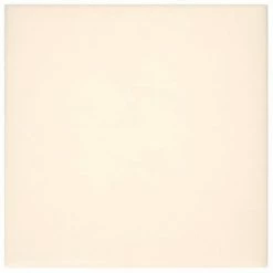 VidaXL Panneaux muraux 12 pcs Crème 30x30 cm Velours 1,08 m² 10 VidaXL Panneaux muraux 12 pcs Crème 30x30 cm Velours 1,08 m² -Matériaux de construction Soldes image 3 343815