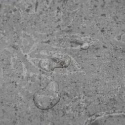 VidaXL Planches de plancher PVC 4,46 m² 3 mm Marron ciment -Matériaux de construction Soldes image 6 146583